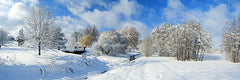 The Arboretum, Central Experimental Farm